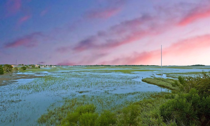 Folly Beach Condo | Palmetto Paradise! Overlooking Beautiful Marshland Sleeps 8!