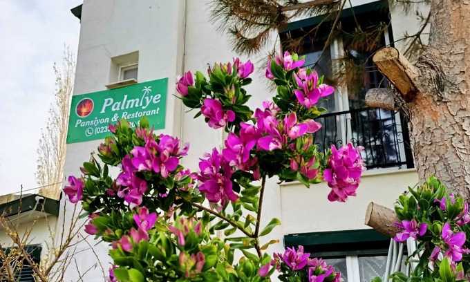 Karaburun Hotel | PALMİYE PANSİYON