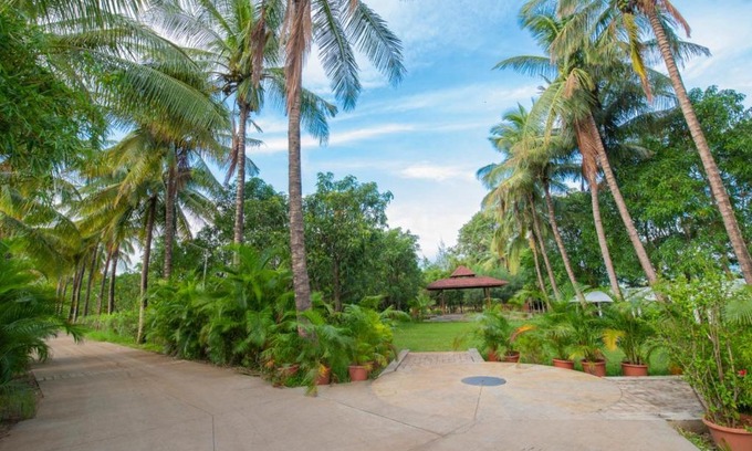 Paud Resort | Palmwoods Retreat