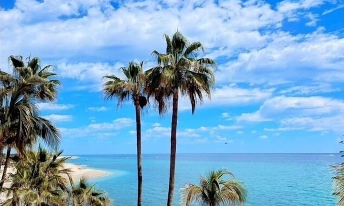 Buenavista Apartment | Paloma Jr. Suites 2nd Floor 2-rooms -patio & ocean view
