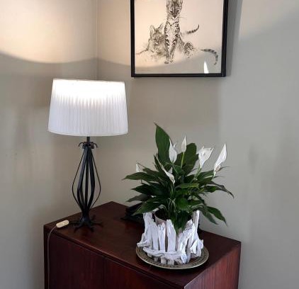 Hoedspruit House | Panache Wildlife Cottage-Self Catering