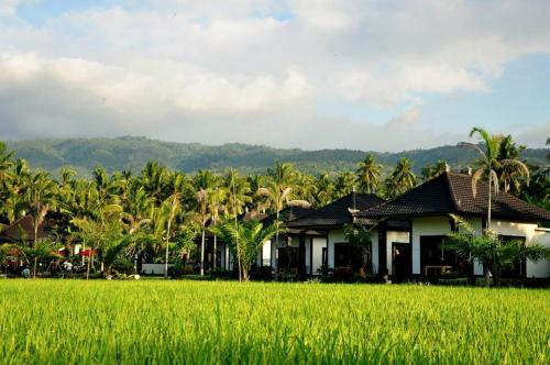 Lovina Resort | Pandawa Village