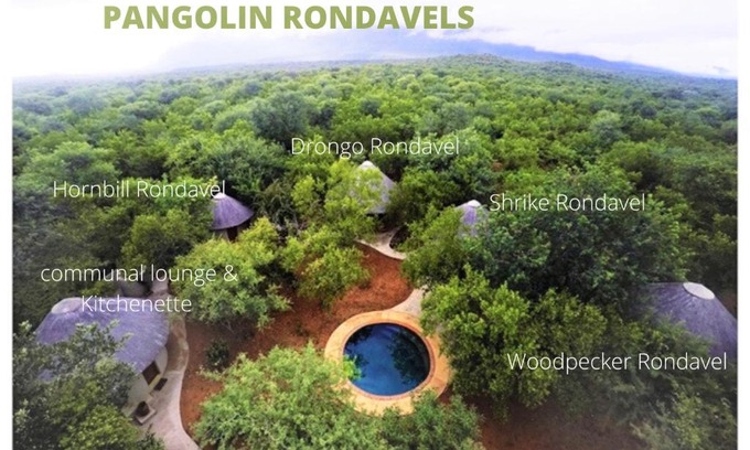Maruleng Bed & Breakfast | Pangolin Rondavels - Shikwari Nature Reserve