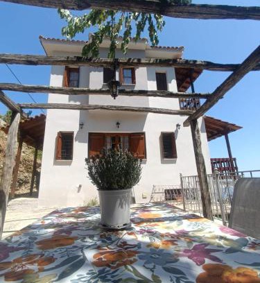 Zagora-Mouresi Apartment | Panorama