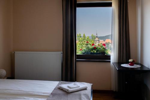 Sighisoara House | Panorama Guesthouse