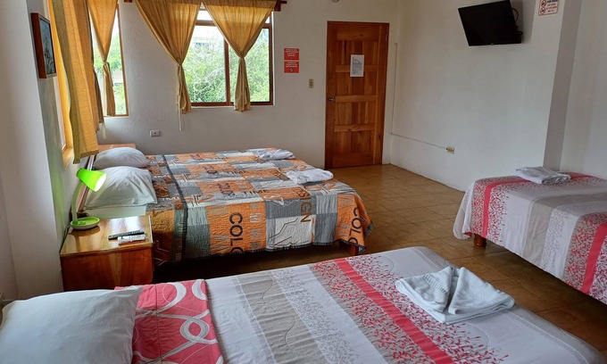 Puerto Ayora Apartment | Panoramic Rooms at Galapagos Verde Azul
