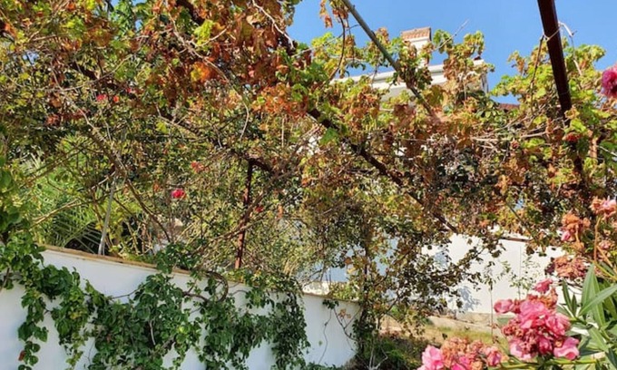 Gulluk Villa | Panoramic Seaview Villa in Bodrum Turkey