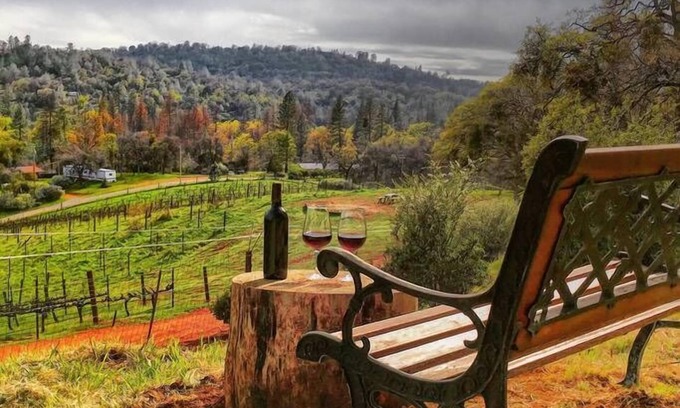 Mariposa House | Papillon Cellars