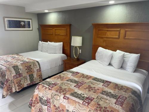 Cape May - Wildwood Hotel | Paradise Inn