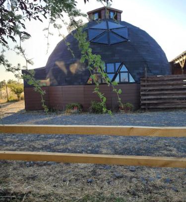 Bulnes House | Parcela la Negra