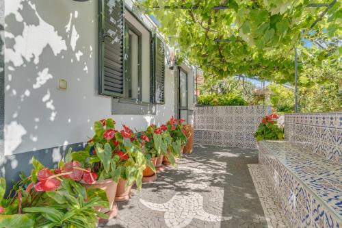 Machico Villa | Passion Villa