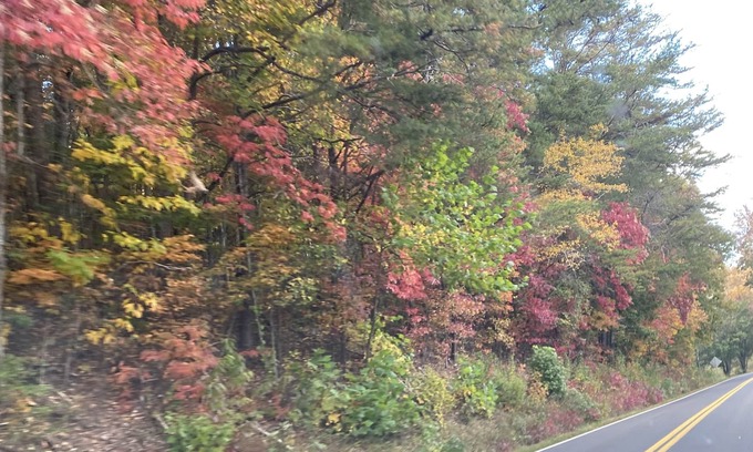 Unaka Cabin | Peace and Beauty - Cabin with spectacular view of the NC Smokies!