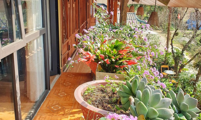 Sa Pa House | Peace Home
