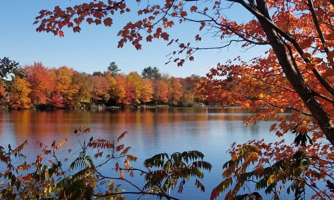 Wolfeboro House | Peaceful and spacious house. Snowmobile, XC Skiing just behind the house.