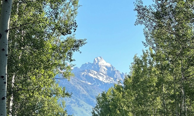 John Dodge Cabin | Peaceful Historic Cabin with fishing access on the Snake River!