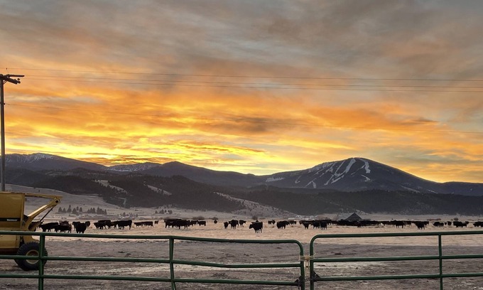 Philipsburg Other | Peaceful Montana Ranch Stay. Close to skiing, hiking