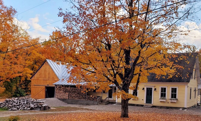Phillips House | Peaceful Mountain Retreat near Saddleback