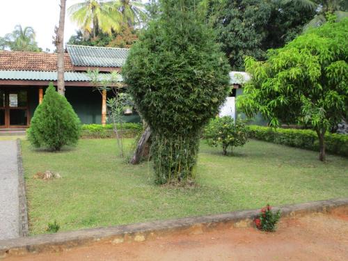 Habarana Bed & Breakfast | Peacock Lake Villa