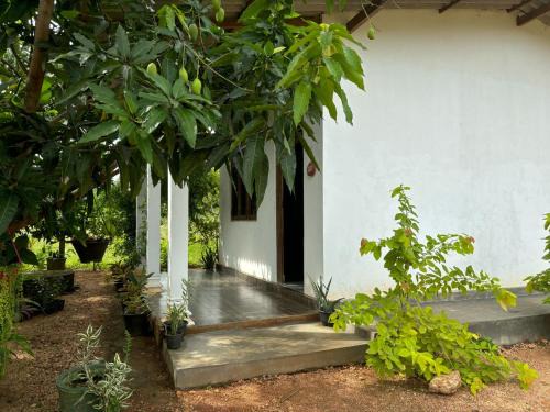 Dambulla House | Peacock village and family resort