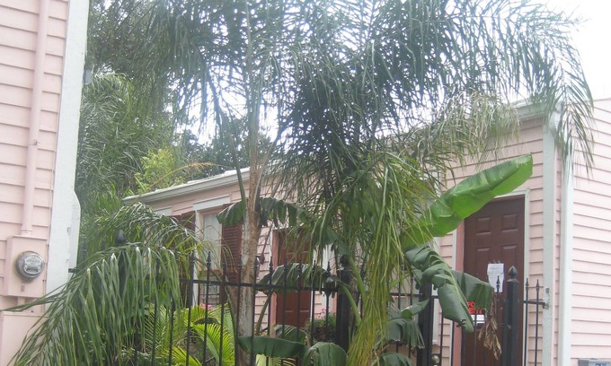 Carrollton Cottage | PEARL ST. GUEST COTTAGE OFF ST. CHARLES,30 NT. MIN.