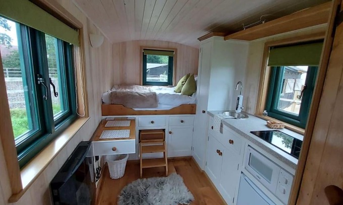 Pulborough Other | Penelope