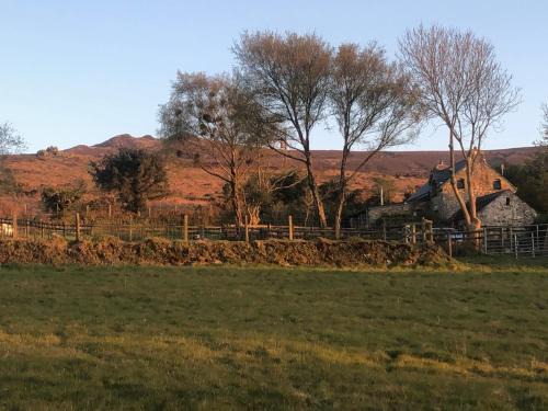 Newport House | Penfeidr Newydd