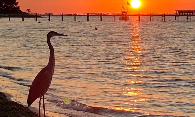 Pensacola Beach House | Pensacola Beach pet friendly with deck views and steps from the Gulf & Sound