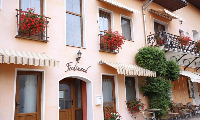 Sfantu Gheorghe House | Pension Ferdinand Panzio