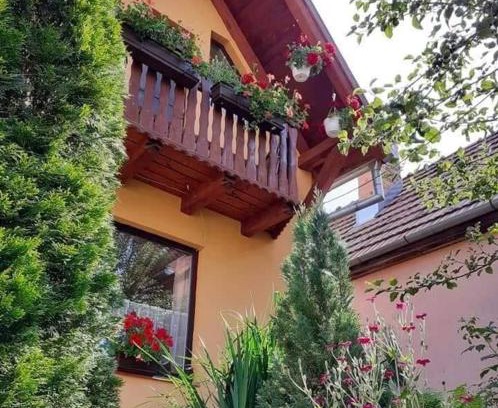 Danesti House | Pensiunea Lali Madaras Ciuc