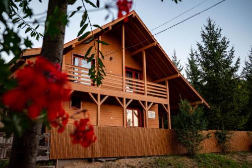 Zetea House | Pensiunea Pepe Panzió