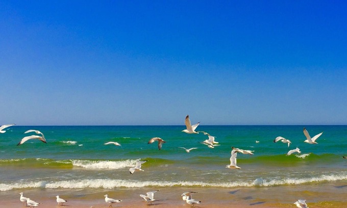 Mears House | Pentwater/Lake Michigan/Silver lake rental