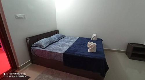 Elappara Resort | Pepper Cennet Inn