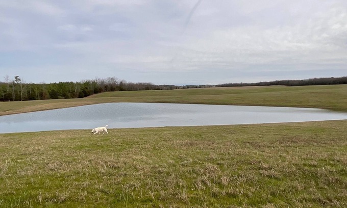Greenbrier RV Rental | Perfect countryside camping. Beautiful sunsets at the foot of the Ozarks.