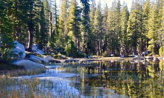 Echo Lake Cabin | Perfect Sierra Cabin Retreat - Near Rivers, Lakes, and Mountains