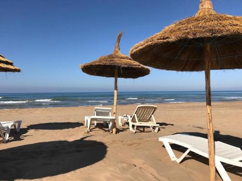 Marina Apartment | Perla Rental Beachfront