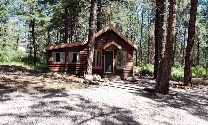 Purgatory House | Pet Friendly Cabin on 3.5 acres between Durango and Purgatory - Fire Pit