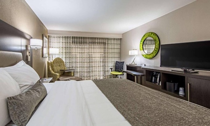 Clemson Hotel | Pet-Friendly Hotel Perfect for Family & Business Stays | Near Dowtown
