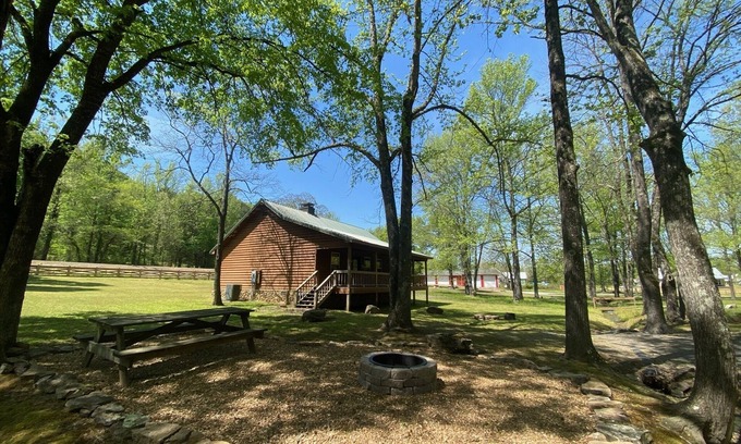 Heber Springs Cabin | Pet Friendly Lobo Landing Cabin!
