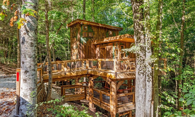 Rogers Cabin | Pet-Friendly Treehouse - Amazonia - an exclusive experience in Red River Gorge, Kentucky!