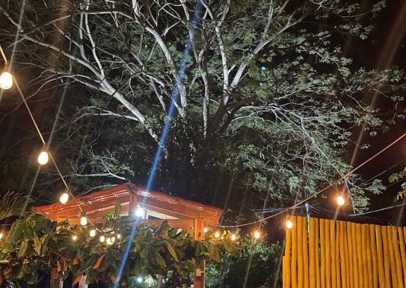 Potrero Apartment | Pet Friendly - WFH Beach House