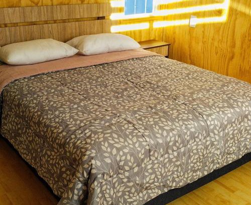 Valdivia Apartment | Petrohue I