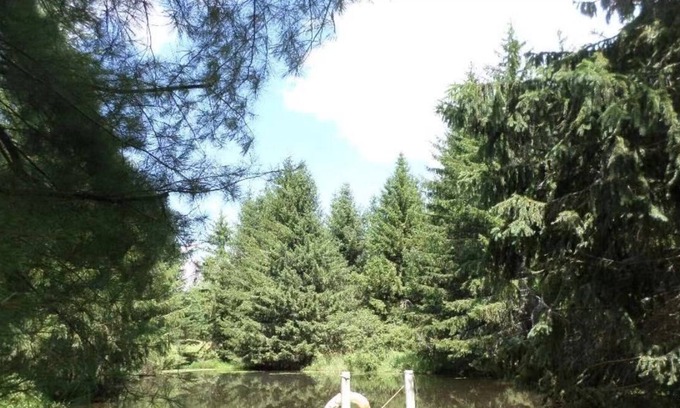 Jewett Cottage | Picturesque Lakeside Cottage Nearby Hunter/Windham