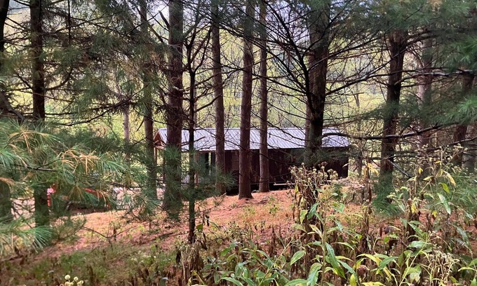 Killbuck Cabin | Pine Grove Cabin 30 acres of woods, meadows, pond and creek near Amish Country