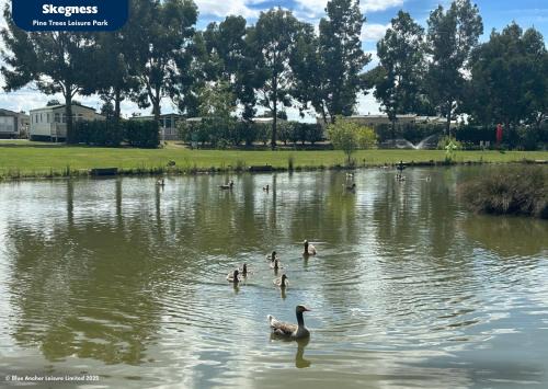 Skegness Resort | Pine Trees Leisure Park