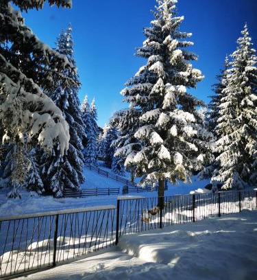 Kasidoli Apartment | PineTree Jahorina