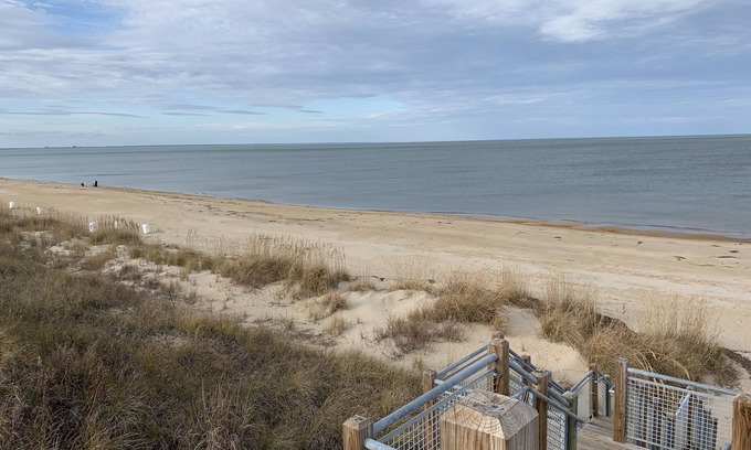 East Ocean View Cottage | Pink Flamingo at the Beach