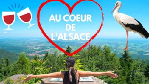 Munster House | Plaisirs d'Alsace - Munster - Colmar - Route du vin