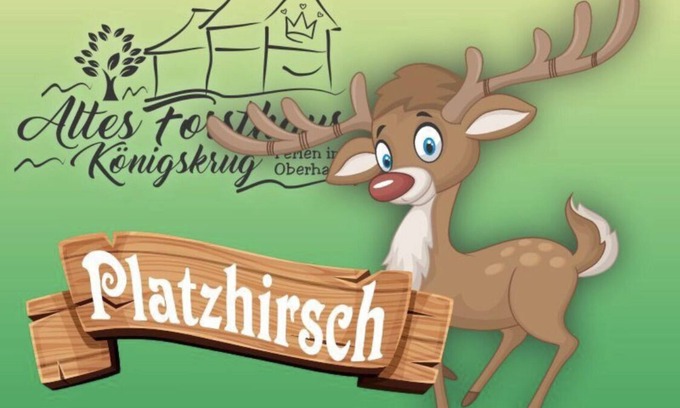 Konigskrug Apartment | Platzhirsch 🦌 vacation apartment in the Harz National Park
