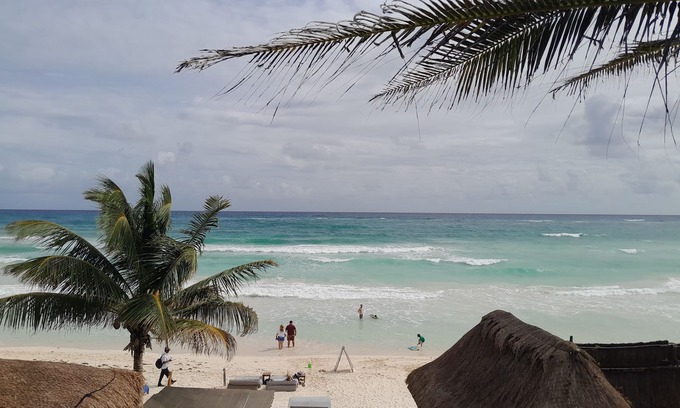Zona Hotelera Hotel | Playa Canek Beachfront Eco Hotel
