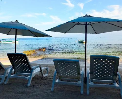 Bocachica House | Playa Tortuga Cabaña